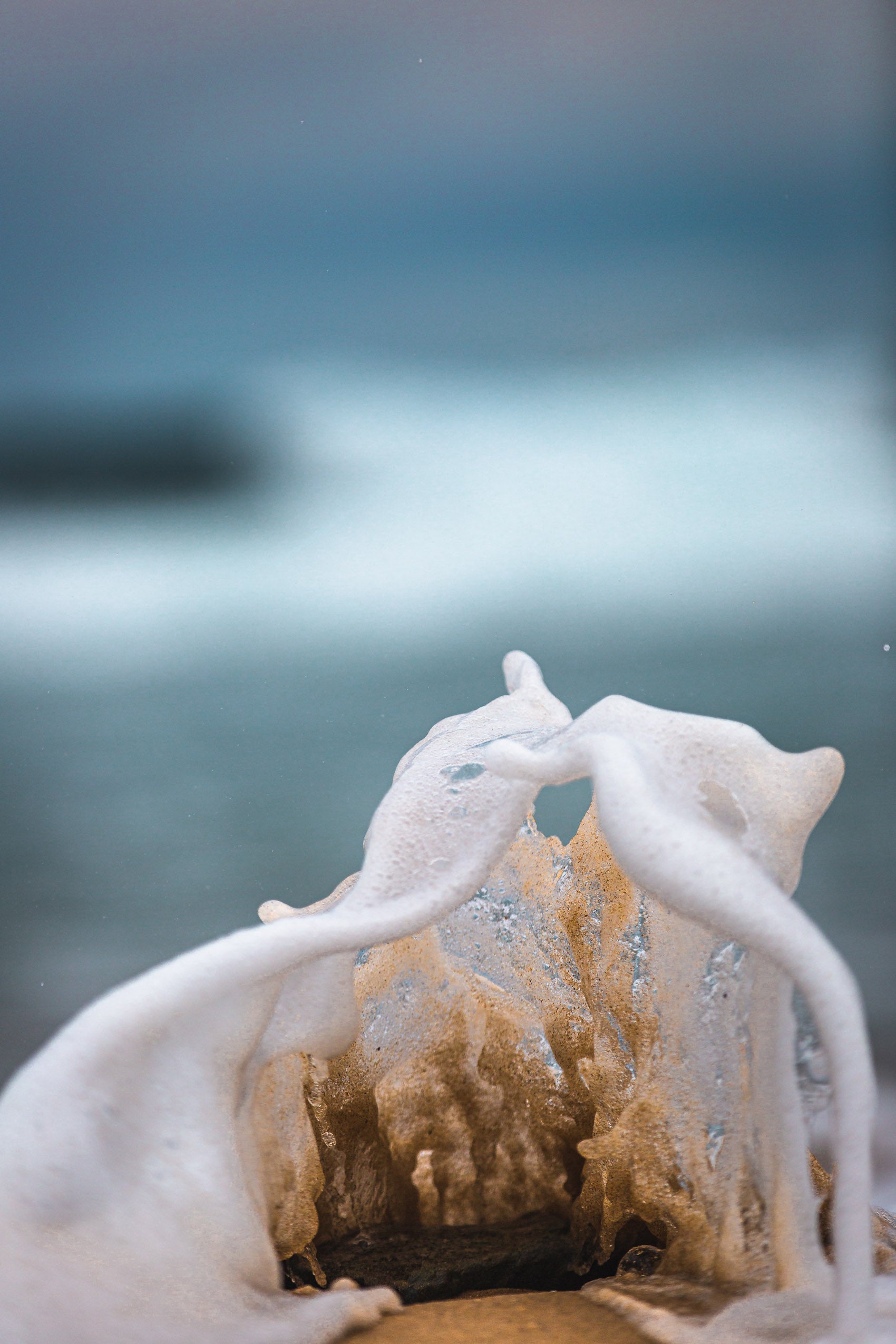 Salty Dance